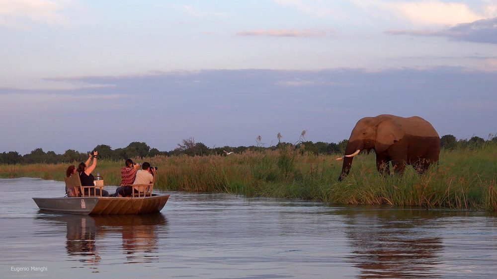 Best of Lower Zambezi Safari