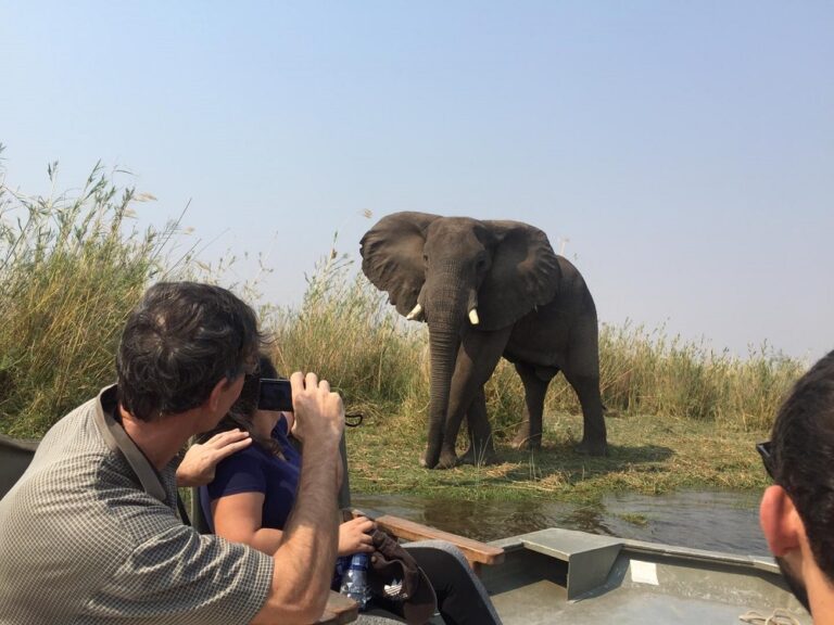 Best of Lower Zambezi Safari