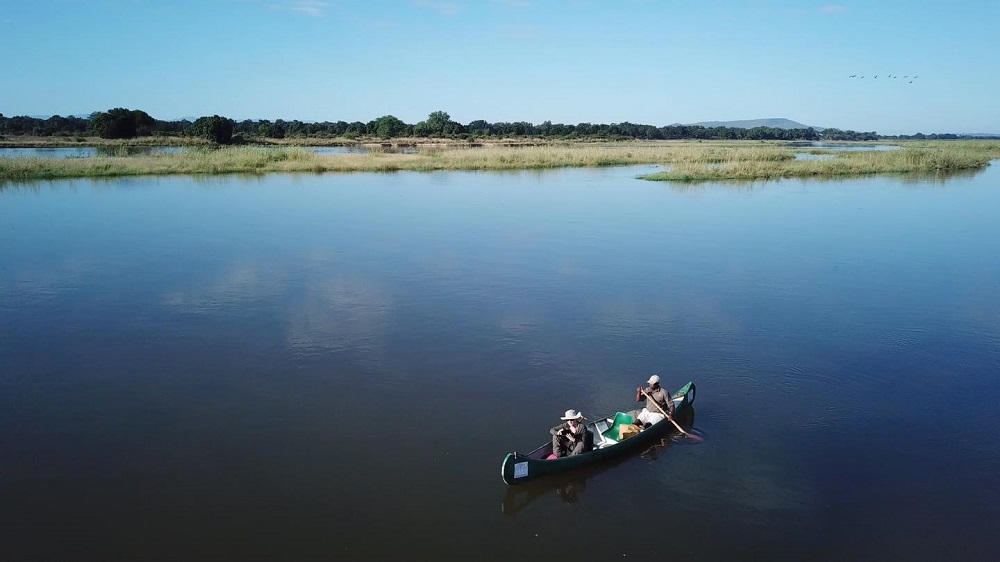 Best of Lower Zambezi Safari