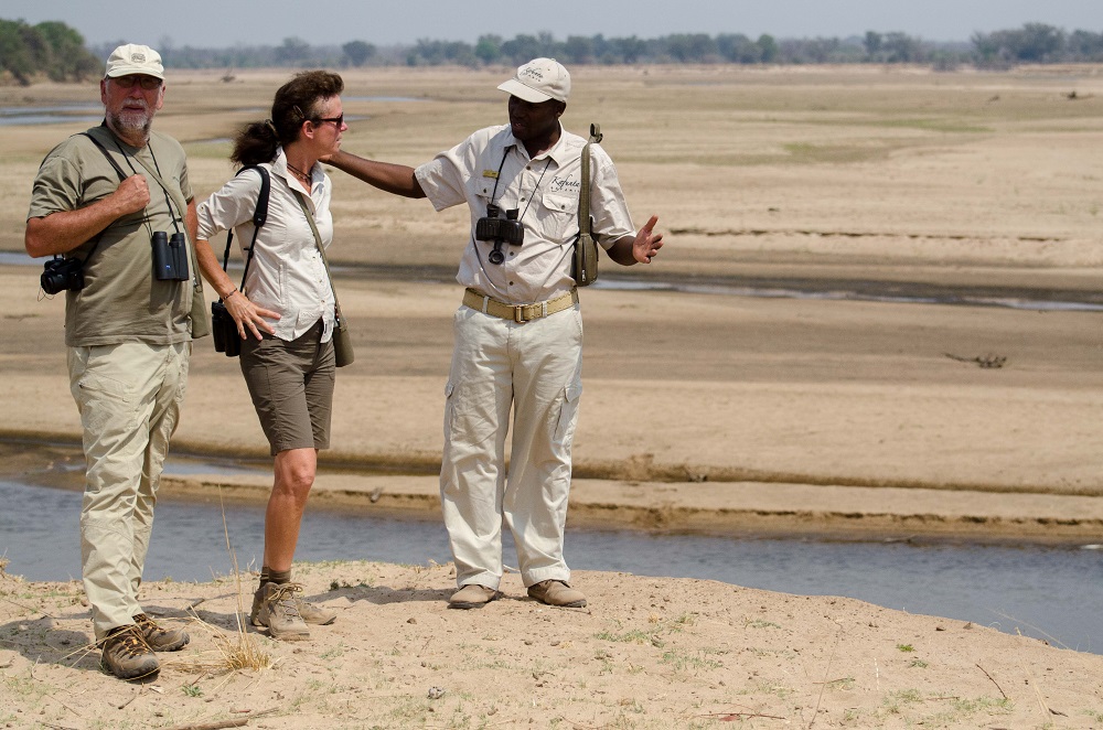 Best of South Luangwa Safari