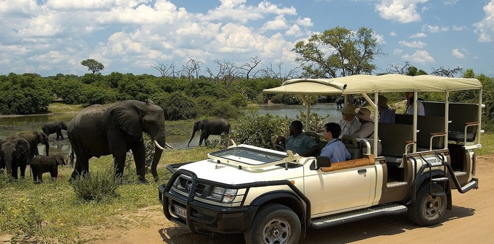 Chobe Day Trip