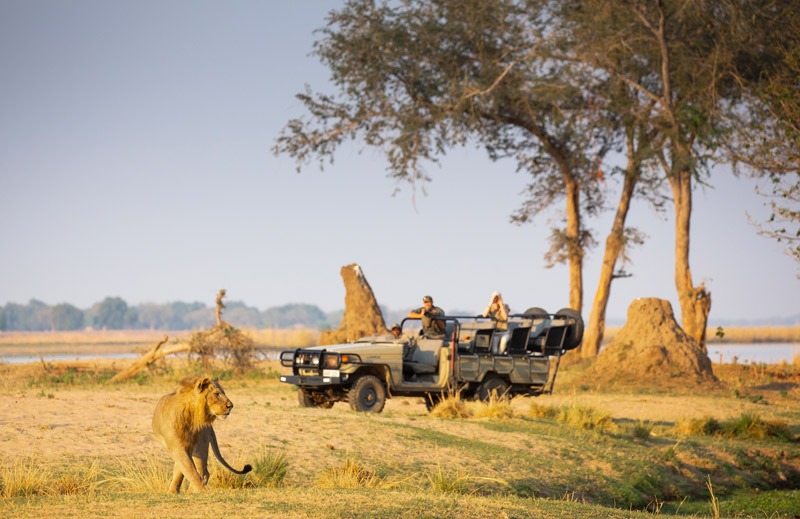 Zambezi Safari at Chiawa Camp & Old Mondoro