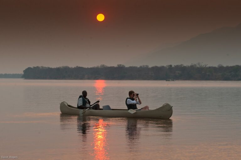 Safari Escape at Baines' River Camp