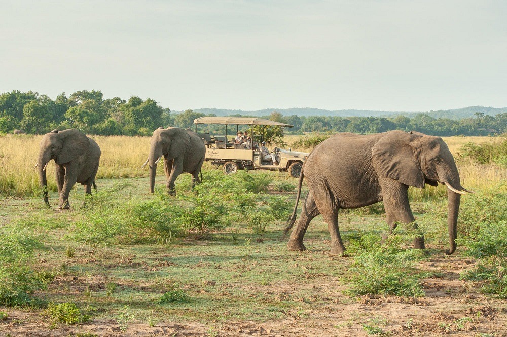 Getaway South Luangwa