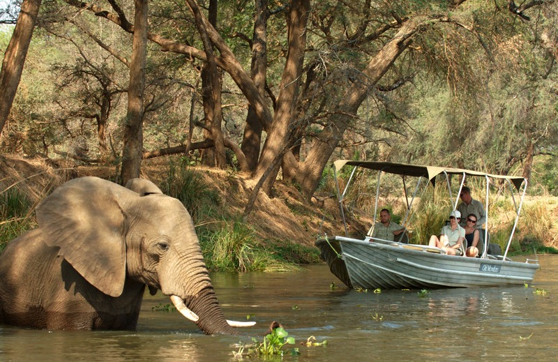 Zambezi Safari at Chiawa Camp & Old Mondoro