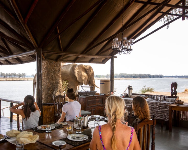 Zambezi Safari at Chiawa Camp & Old Mondoro